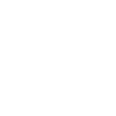 Danza-Son logo